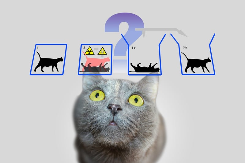 Quantum Paradoxes